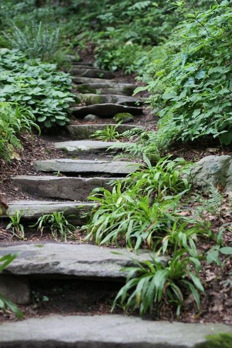 Garden In The Woods photo