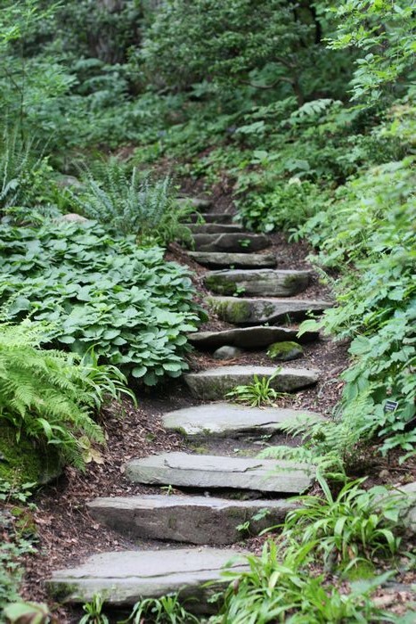 Garden In The Woods photo