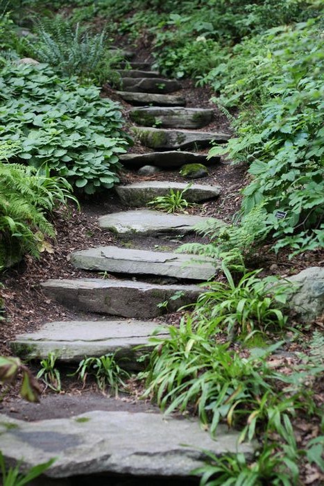 Garden In The Woods photo