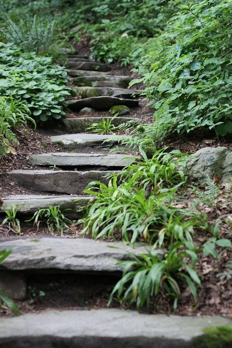Garden In The Woods photo